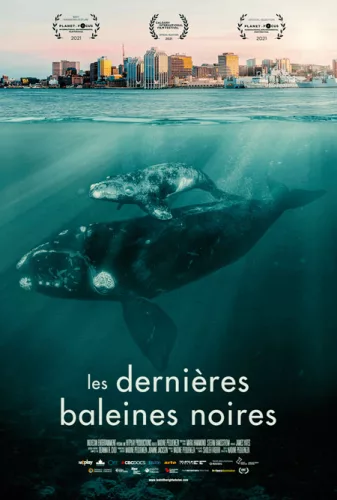 Last of the Right Whales