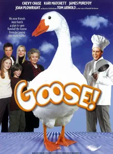Goose on the Loose