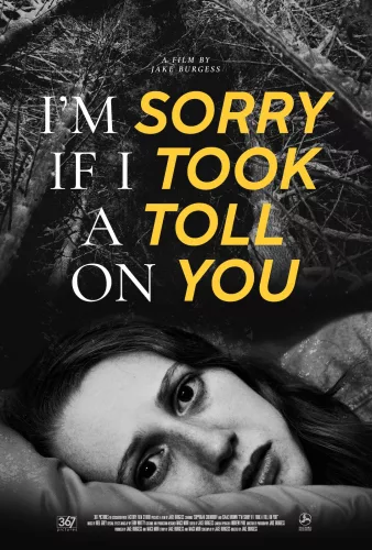 I’m Sorry If I Took a Toll on You