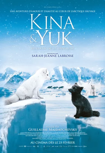 Kina & Yuk: Renards de la banquise