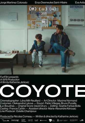 Coyote